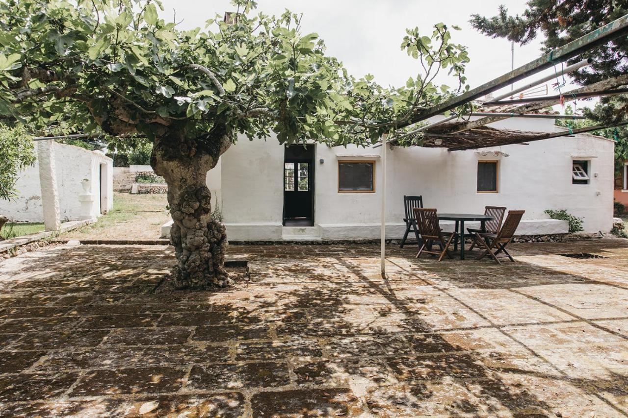 Agroturismo Son Triay Ferreries Exterior foto